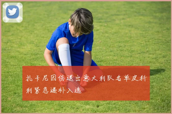 扎卡尼因伤退出意大利队名单皮科利紧急递补入选